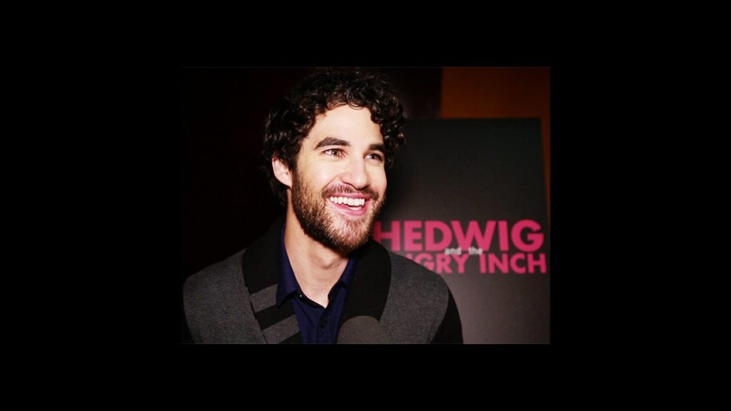 VS - Hedwig - Darren Criss - wide - 4/15